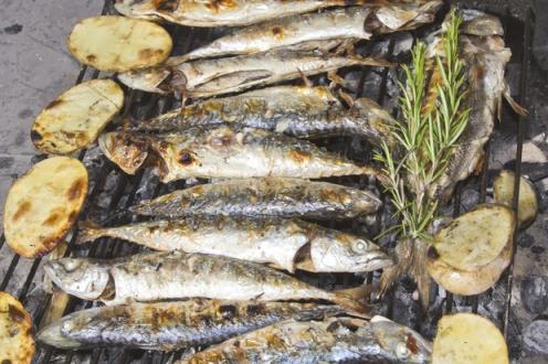 are-mackerel-sardines-herring-and-pilchards-safe-when-pregnant_54035