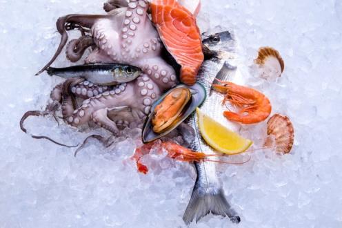 海鲜和贝类在怀孕期间安全吗?