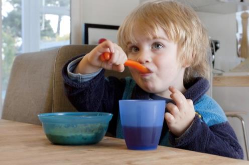 at-what-times-should-your-toddler-be-eating_18121
