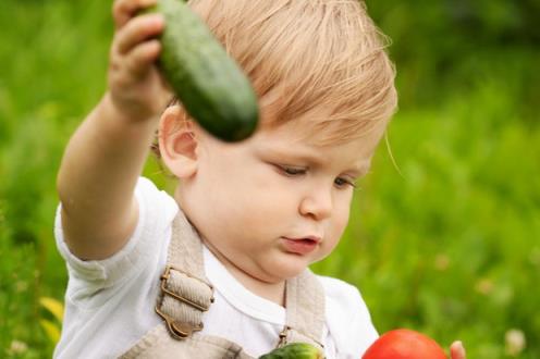 如何让你的孩子多吃蔬菜
