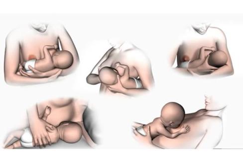 新生儿最佳母乳喂养姿势(附图)