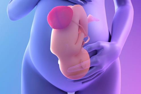 什么是前置胎盘?它如何影响宝宝的动作?