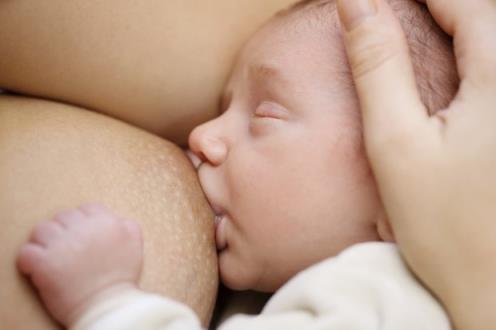 婴儿嗅出母亲的乳汁