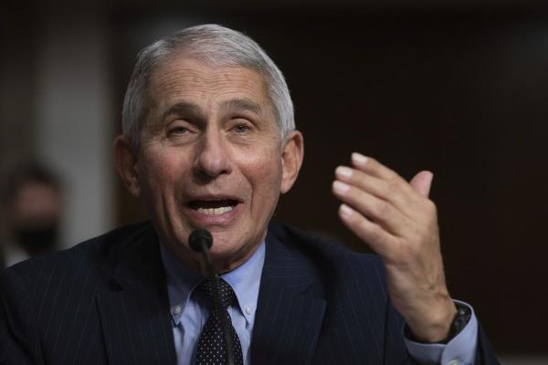 Dr. Anthony Fauci speaks to Congress.