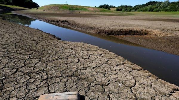 热浪席卷英国，英格兰部分地区宣布干旱