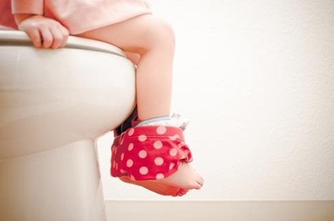 potty-train-your-toddler-in-3-days_potty