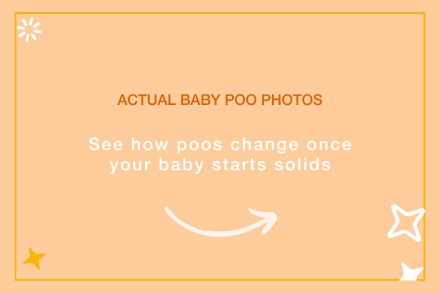 graphic saying actual baby poo photos: see how poo changes when your baby starts solids