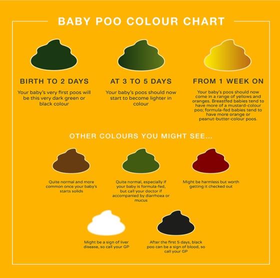 baby poop colour chart, showing colours of baby poo in early days, plus green, yellow, brown, white, red and black poo and what they mean