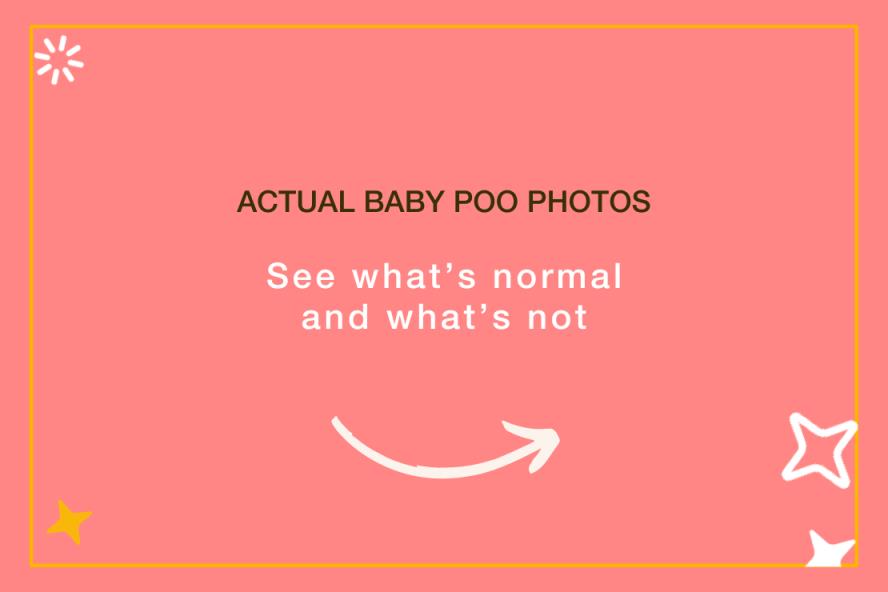 Graphic saying Actual Baby Poo Photos