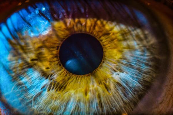 OpenAI的GPT-4可以诊断眼部问题，并像你的医生一样提出治疗建议